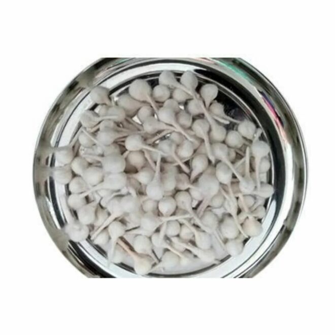 Mild Steel Diya Batti Making Machine - Image 3